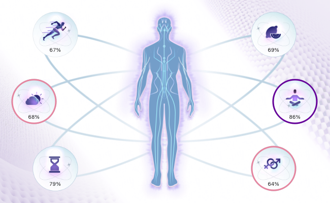 Bio-Well lifestyle vitality indicators showing six dimensions connected to a human energy figure