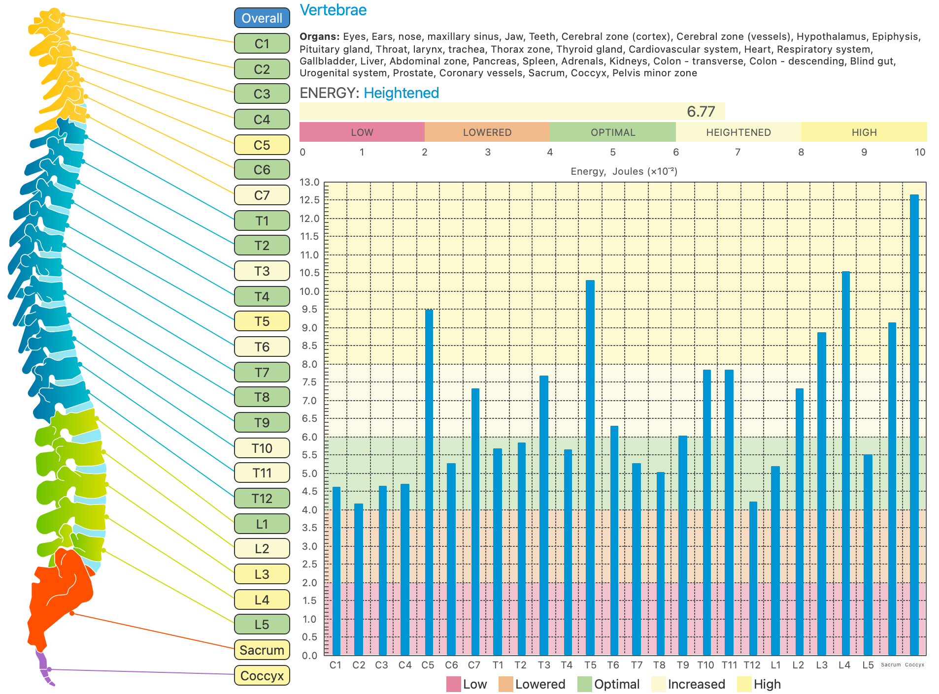Vertebral energy analysis chart showing energy levels across spinal segments C1 through coccyx